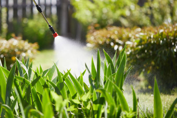 Tamper-Resistant Bait Stations for Rodents in Kenbridge