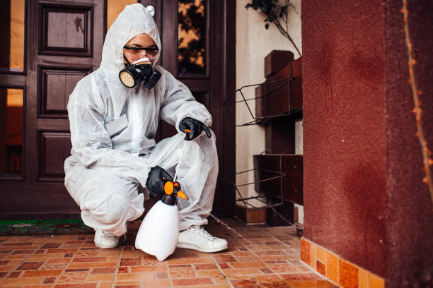 Attic and Crawl Space Rodent Treatment in Kenbridge